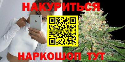 спиды Моздок