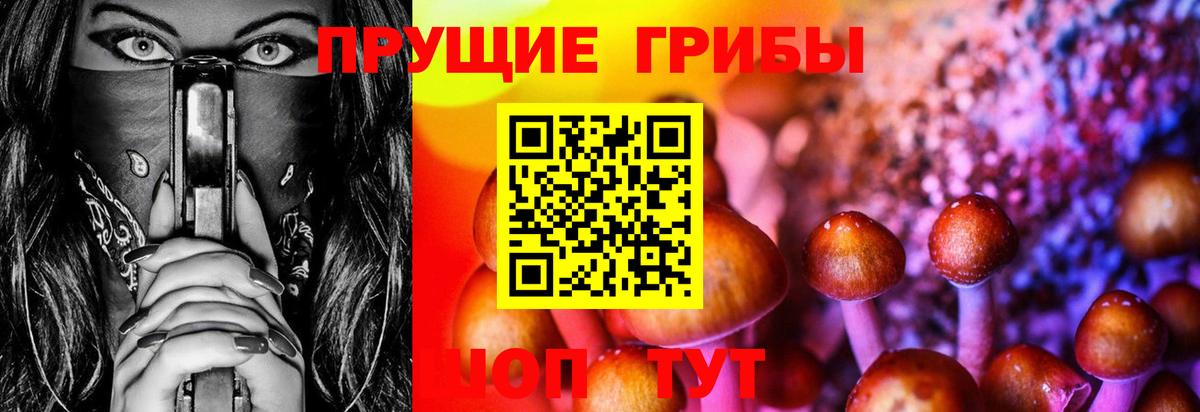 Псилоцибиновые грибы MAGIC MUSHROOMS Вышний Волочёк